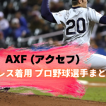 pro-baseball-axf-necklace-1