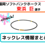 nao-higashihama-necklace-spojou